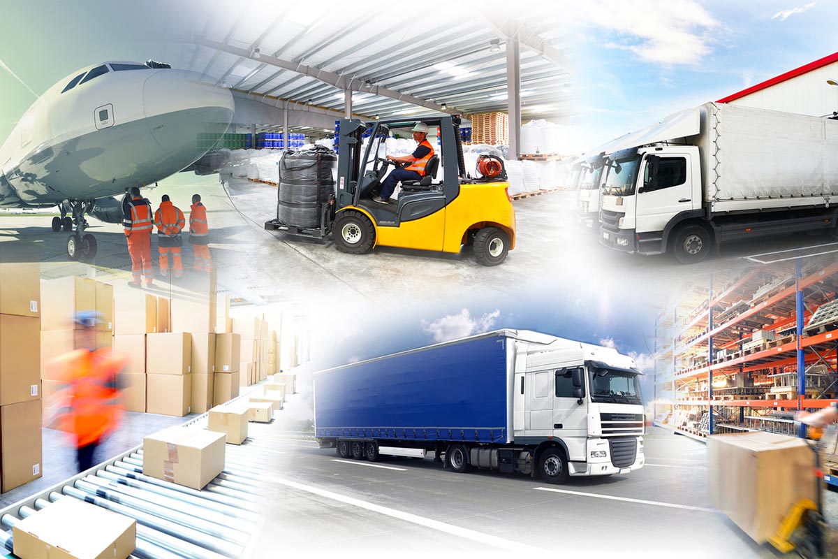 Logistics and Transportation Industry