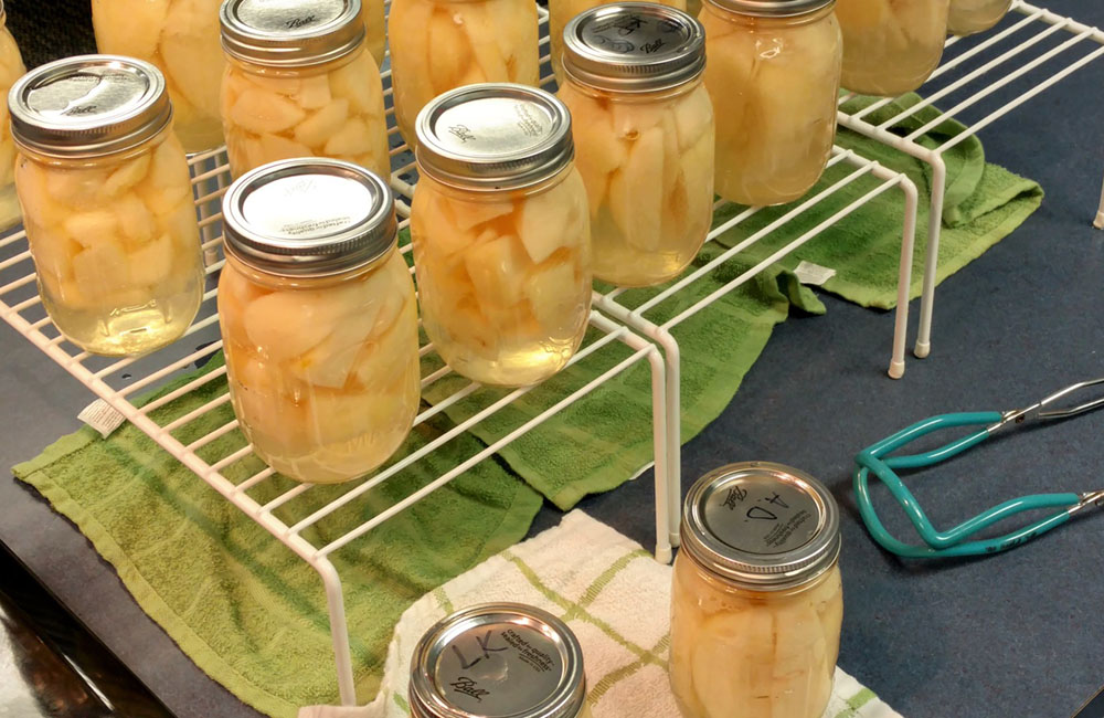 Food Preservation